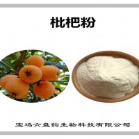 枇杷速溶粉 水溶性枇杷粉 固体饮料原料