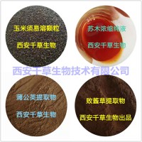 原味芹菜汁粉原味芹菜浓缩粉供应提取物 定做芹菜浸膏