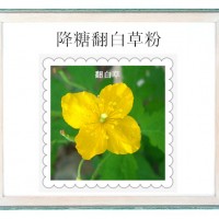 翻白草提取物价格