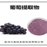 葡萄提取物 葡萄粉 植物萃取粉 果蔬粉