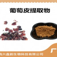 葡萄皮提取物 葡萄皮粉 六盘韵生产