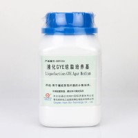 液化GYE琼脂培养基