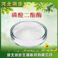 磷酸二酯酶在食品加工中的应用