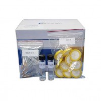 双胍类快筛试剂盒（药品、食品检测） 供应