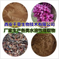 雪莲花提取物雪莲花水溶粉雪莲花浓缩粉