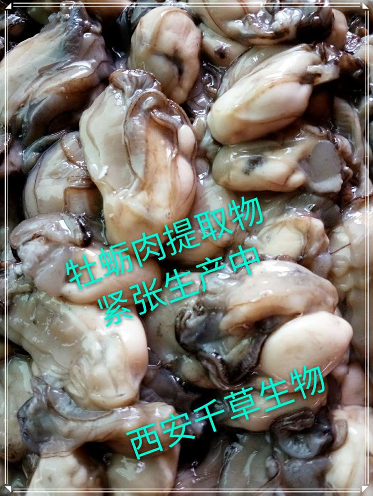 牡蛎纯肉原料实拍图