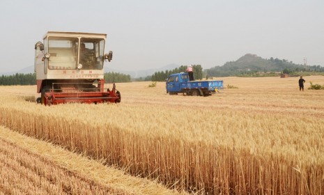 农业农村部：全力抓好下半年粮食和重要农产品生产