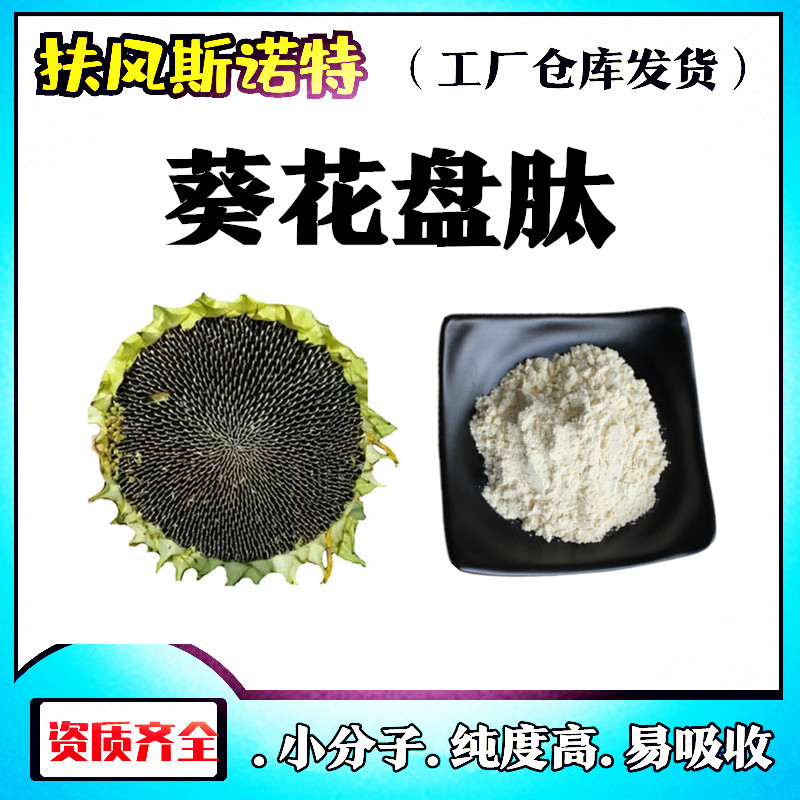 小分子肽模板2_副本