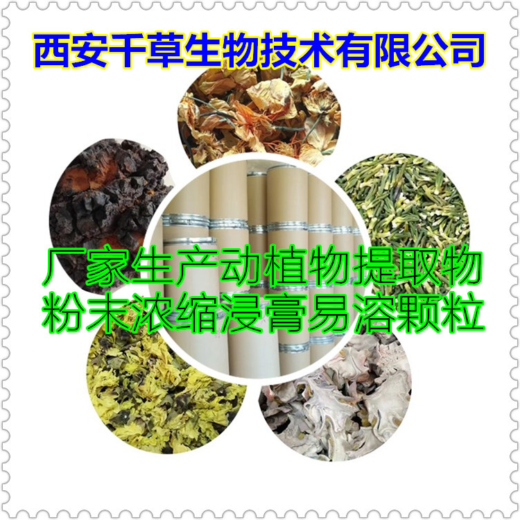 initpintu_副本1