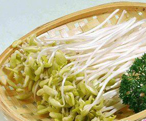 绿豆芽检测 绿豆芽检测