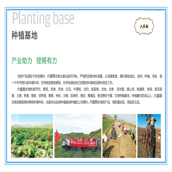 六盘韵种植基地1_副本9