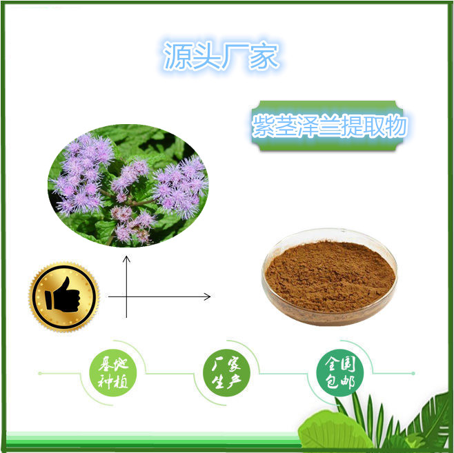 紫茎泽兰_副本