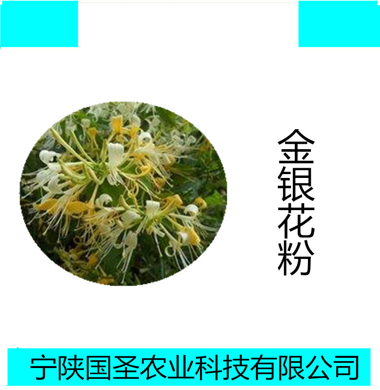 金银花_副本