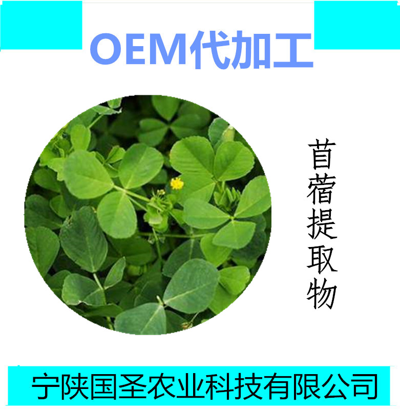 苜蓿_副本