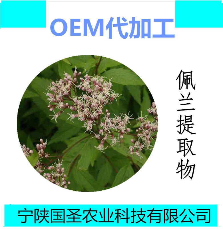 佩兰_副本