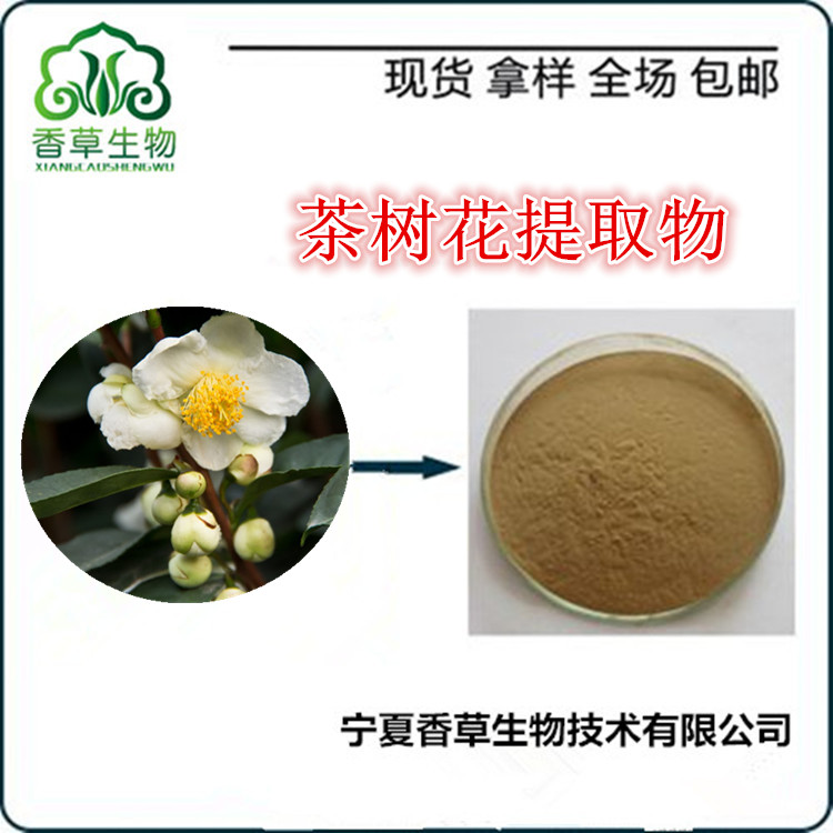 茶树花提取物