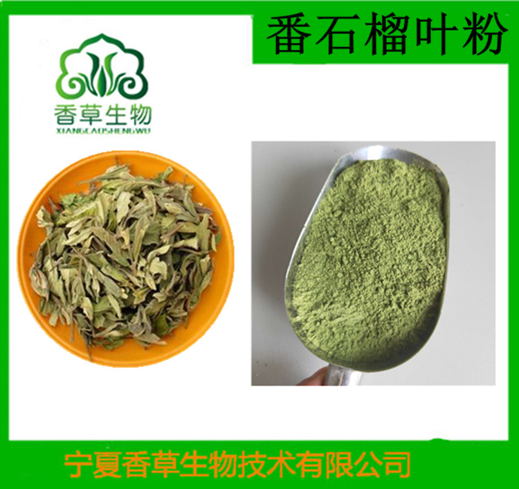 番石榴叶粉