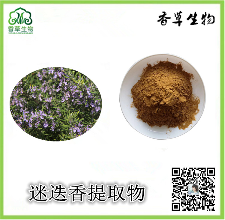 迷迭香提取物