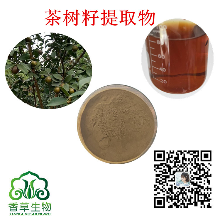 茶树籽提取物