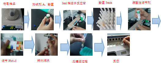 茶叶检测卡实验流程图
