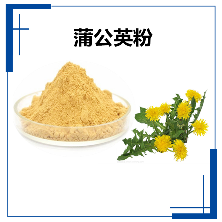 蒲公英 (3)