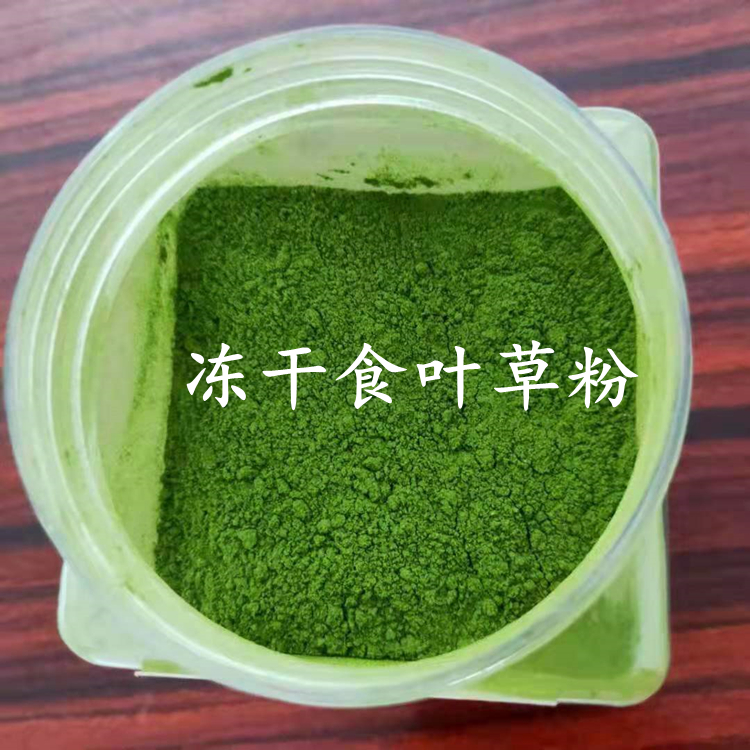 冻干食叶草粉