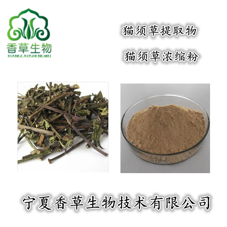 猫须草提取物