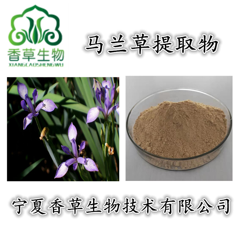 马兰草提取物