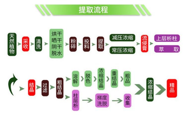 提取流程