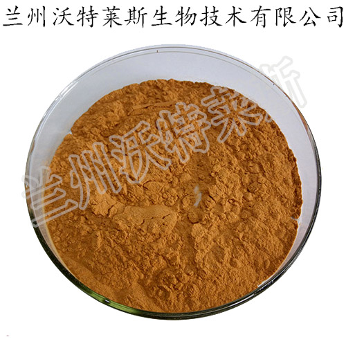大豆胚芽提取物