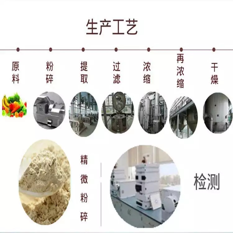 斯诺特生物生工艺