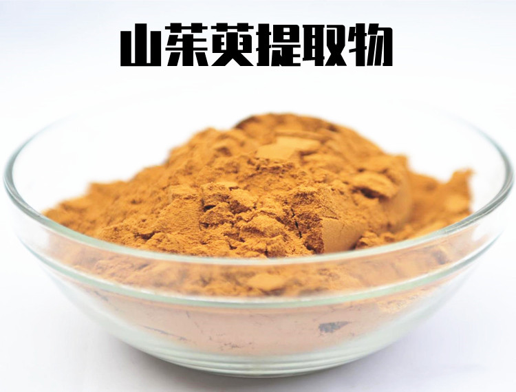 山茱萸提取物