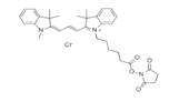 蛋白质、多肽、核酸等生物分子标记染料解决方案----Lumiprobe(5)|高校教学与科研实验|上海西宝生物科技有限公司-咨询电话：400-021-8158