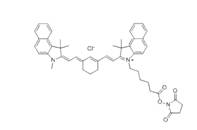 蛋白质、多肽、核酸等生物分子标记染料解决方案----Lumiprobe(5)|高校教学与科研实验|上海西宝生物科技有限公司-咨询电话：400-021-8158