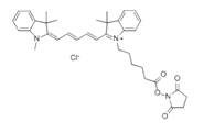 蛋白质、多肽、核酸等生物分子标记染料解决方案----Lumiprobe(5)|高校教学与科研实验|上海西宝生物科技有限公司-咨询电话：400-021-8158