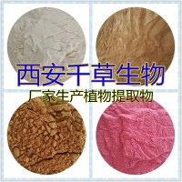 水溶性胡椒提取物胡椒粉 厂家供应多规格胡椒浓缩原液