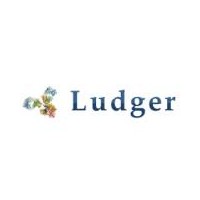 多糖释放试剂盒-Ludger糖基化产品