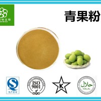 青果果粉 青果粉/橄榄粉 源头厂家 斯诺特集团工厂批发
