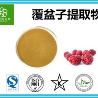 覆盆子粉 覆盆子提取粉 药食同源粉 源头厂家 批发价格