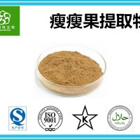 瘦瘦果提取物 高倍浓缩瘦瘦果粉 扶风生产基地 现货供应