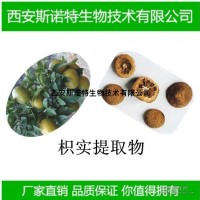 枳实粉 枳实比例提取 斯诺特生物 现货