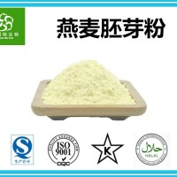 燕麦胚芽粉 燕麦胚乳芽粉 营养价值高 厂家现货 批发零售