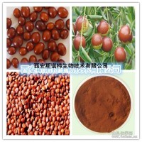 酸枣仁提取物 酸枣仁比例提取 10：1  库存现货 包邮