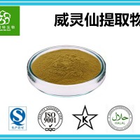 威灵仙提取物 铁脚威灵仙提取物 天然提取规格10:1