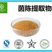 茵陈提取物 茵陈提取粉 原料粉 源头厂家供应