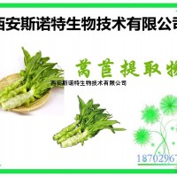 莴苣速溶粉 莴苣粉 现货供应