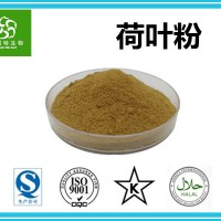 荷叶粉 速溶荷叶粉 荷叶速溶粉 工厂直销 批发零售