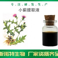 小蓟提取液 厂家供应 小蓟浸膏