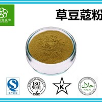 草蔻粉 草扣粉 草豆蔻粉 天然浓缩粉 扶风生产基地批发