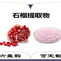 石榴提取物 石榴粉 果蔬粉 植物提取物